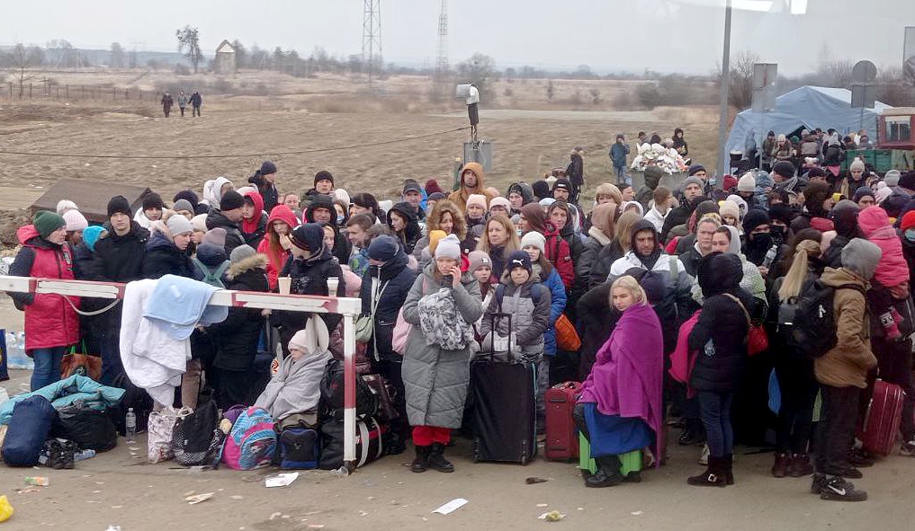 Депутат Сейма: в Клайпеде несколько сотен украинских беженцев