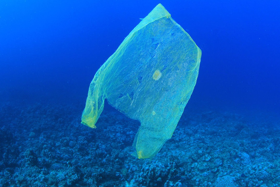 Baltijos jūra užteršta plastiku: kaip prisidėti sprendžiant žmones ir  gyvūnus žalojančią problemą?