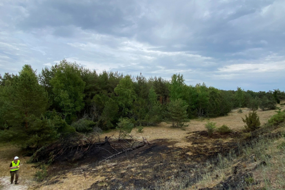 Neringoje ketvirtadienį kilo keturi miško gaisrai, miškininkai įtaria padegimą