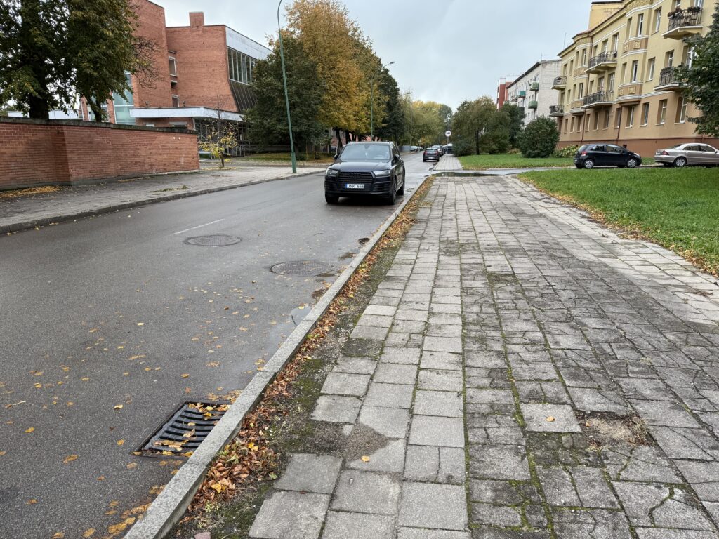 Danės g. rekonstrukcija