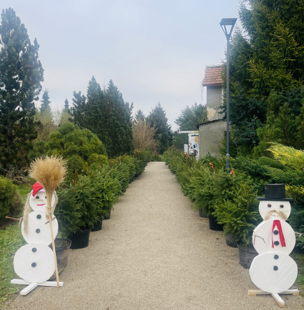 Eglutės Klaipėdos universiteto Botanikos sode