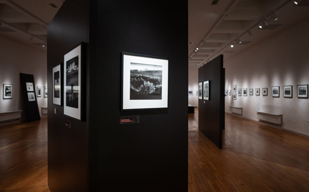 Paroda „Kad ir pasaulio pabaiga“ 3, nuotr. Gintarės Grigėnaitės