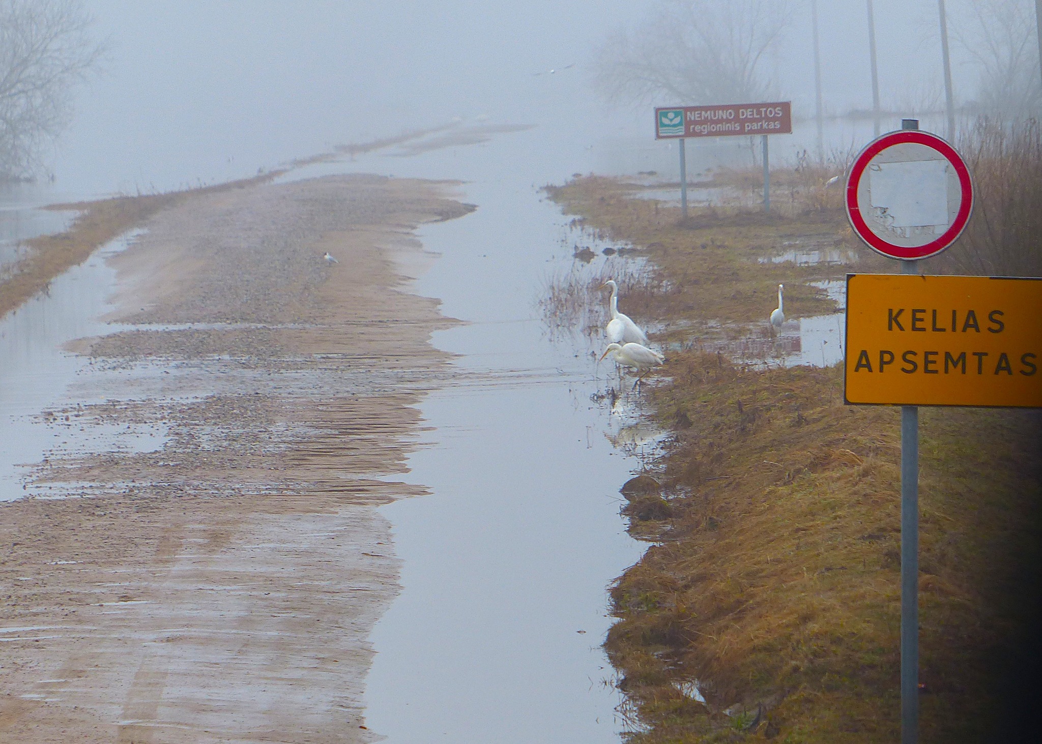 Šilutės rajone prasidėjo potvynis: skelbiamas stichinis vandens lygis