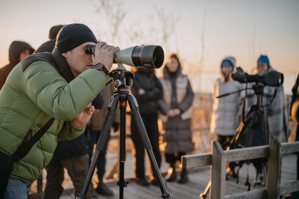 Paukščių sugrįžtuvės