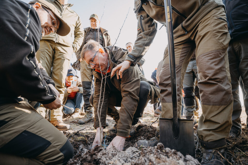 Miškasodis Neringoje