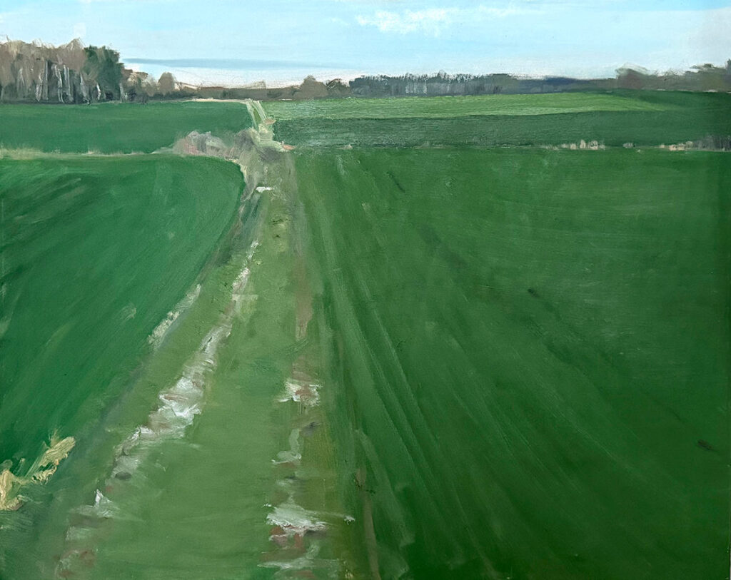 Lukas Pavilonis. Laukai 2. 2025 m., drobė, aliejus, 80 x 100 cm.