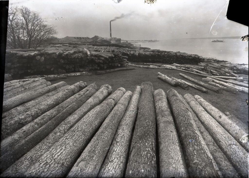 Balticum“ lentpjūvė Klaipėdos Smeltės priemiestyje 1932