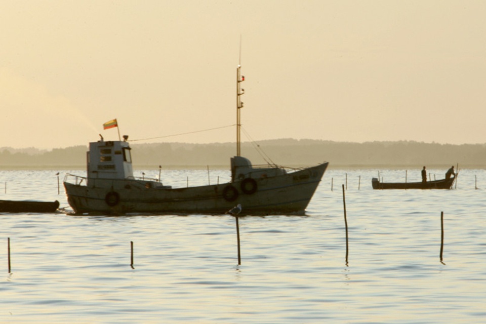 Siūloma riboti verslinę žvejybą Kuršių mariose