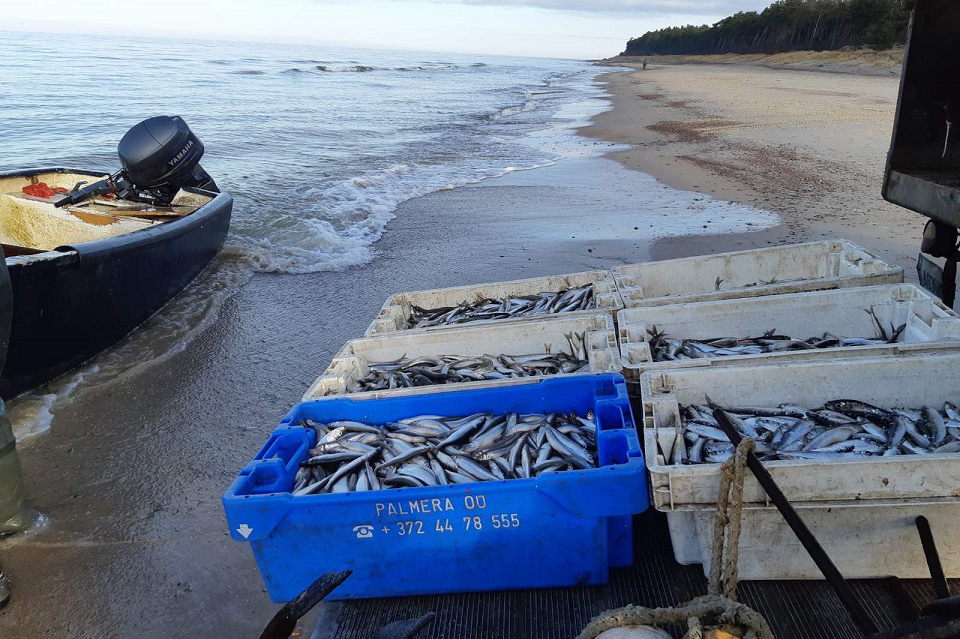 Jūros priekrantėje aptikta apie 300 metrų nelegalių žvejybos tinklų