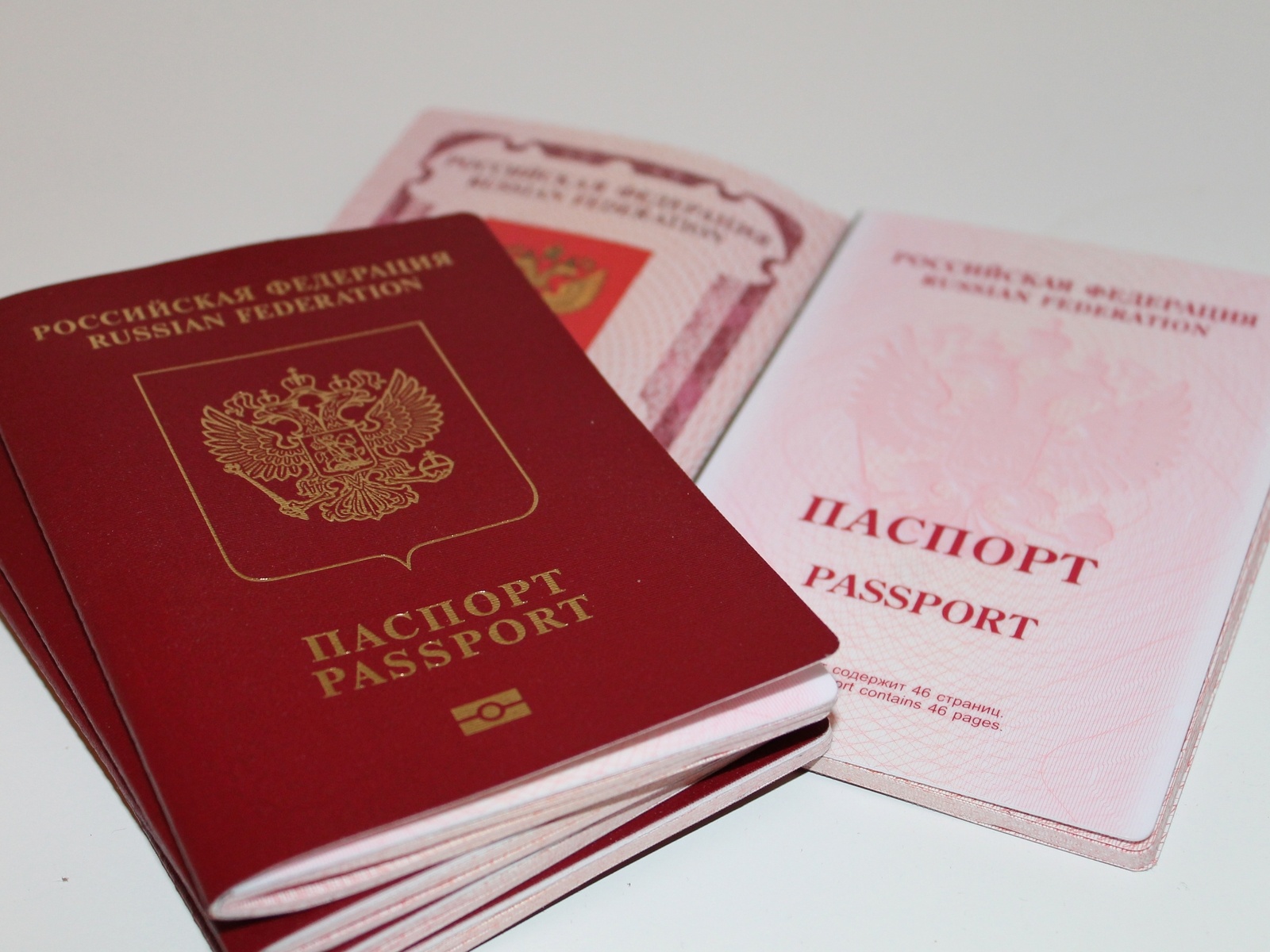 Решение не выдавать шенгенские визы гражданам России – под прицелом дезинформации