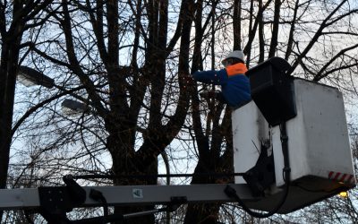 Klaipėdos medžiams papuošti – 7 kilometrai elektrinių girliandų