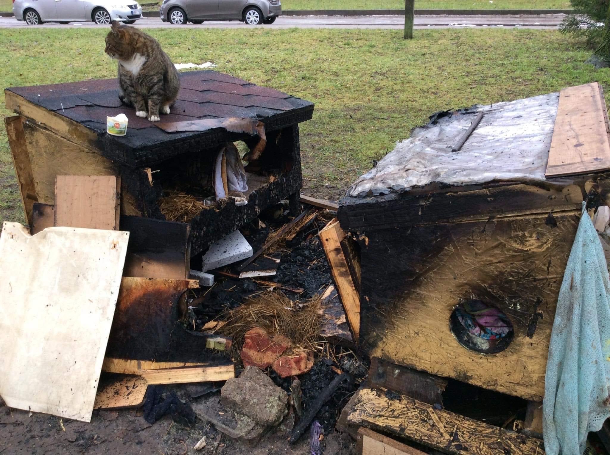 В рыбпорту злоумышленники подожгли кошачий домик