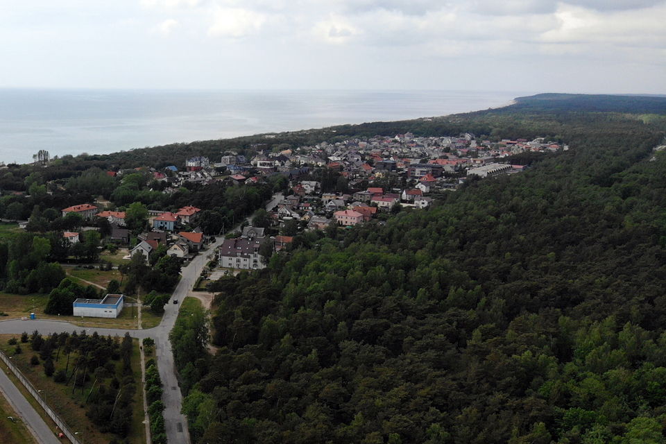 На территории Клайпеды могут учредить заповедник, который защитит леса в Гируляй и Мелнраге